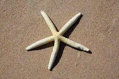 《星之卡比：探索发现》容量超过《超级马里奥奥德赛》